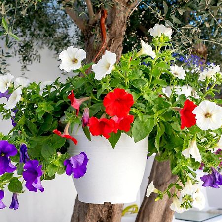Villa Del Capo Suites Rhodes City Exterior photo