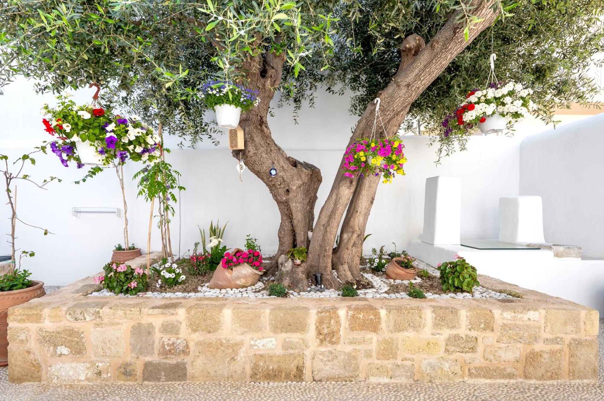 Villa Del Capo Suites Rhodes City Exterior photo